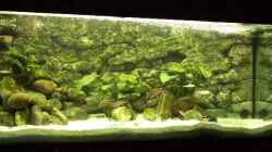 Aquarium Becken 94