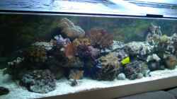 Aquarium Becken 9400