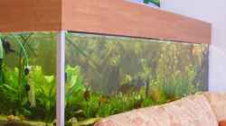 Aquarium Becken 9533