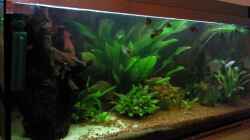 Aquarium Becken 9565