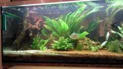Aquarium Becken 9565