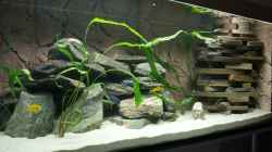 Aquarium Becken 9607 - Nur noch Beispiel!