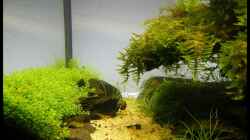 Aquarium Becken 9614