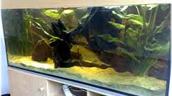 Aquarium Becken 9757