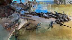 Gatorland in Florida – Ein Paradies für Reptilienfans