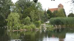 Besuch des Müritzeum in Waren Müritz