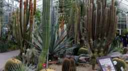 Botanischer Garten München -Aus Sicht einer Aquarianerin! Teil I