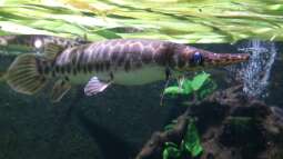 Mich@ on Tour: Ein Besuch im Düsseldorfer Aquazoo Löbbecke Museum