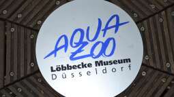 Mich@ on Tour: Ein Besuch im Düsseldorfer Aquazoo Löbbecke Museum