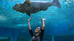 Besuch im Manila Ocean Park auf den Philippinen