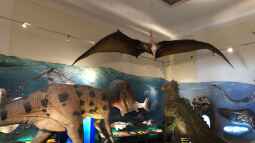 Das Haus der Natur in Salzburg Teil 1 - Reptilien und Video
