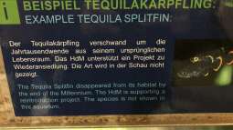 Besuch im Haus des Meeres in Wien