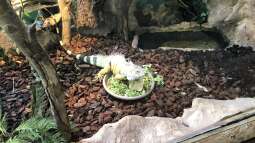 Besuch im Haus des Meeres in Wien