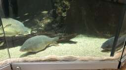 Besuch im Haus des Meeres in Wien