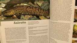 Buch-Vorstellung ???Fische, Krebse & Muscheln in heimischen Seen und Flüssen???