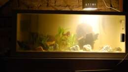Aquarium Becken 10070
