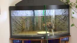 Aquarium Paradise Edge Obsolete