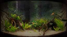 Aquarium Paradise Edge Obsolete