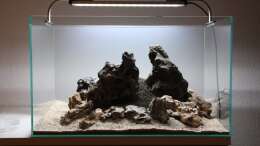 Aquarium Projekt in Planung