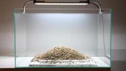 Aquarium Projekt in Planung