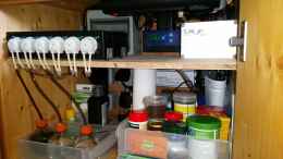 Foto mit Das Herz ... PH Controller, LiWeBe Box und Dosierpumpe