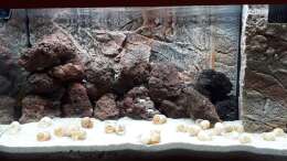 Aquarium Tanganjika 125
