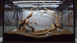 Hardscape