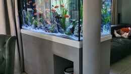 Foto mit Aquarium als Raumteiler zwischen Ess- und Wohnbereich