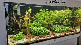 aquarium-von-peter-peter-juwel-rio-180_Aquarium RIO 180 am 08.03.2025