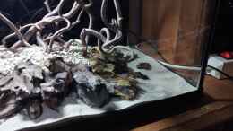aquarium-von-torsten-bullmahn-54er-scape---wood-stone_