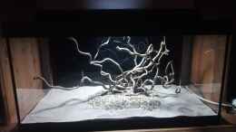 aquarium-von-torsten-bullmahn-54er-scape---wood-stone_