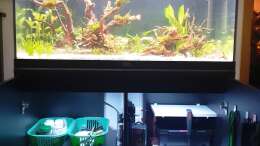 Technik im Aquarium ehrenwerte Gesellschaft