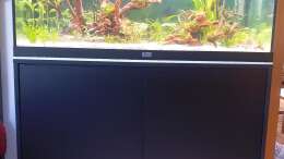 Technik im Aquarium ehrenwerte Gesellschaft