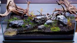 Aquarium Dartmoor