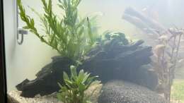 aquarium-von-skyrap-rio-180_