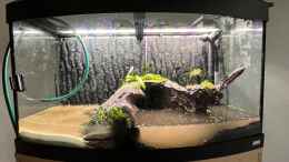 aquarium-von-boellerbl-unterwasserinsel_Der Strand und Küstenbereich steht schon mal. 
