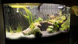 aquarium-von-boellerbl-unterwasserinsel_