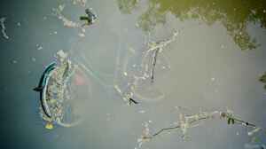 Was ist Magnetfischen?