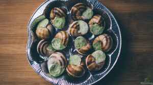 Weinbergschnecken: Delikatesse mit Ekelfaktor