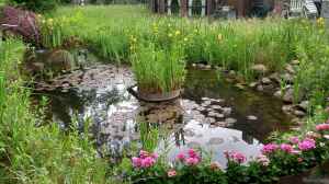 Verdunstung: Ein Problem für deinen Gartenteich? 