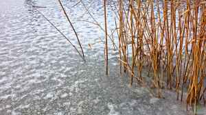Teichtechnik im Winter: Was tun mit Pumpen und Filtern?