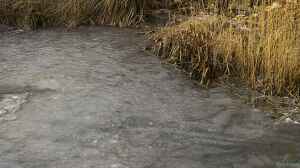 Pflege und Wartung eines Schwimmteichs im Herbst: Wichtige Maßnahmen für eine gesunde Badeoase