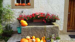 Blumenschmuck aus dem eigenen Garten