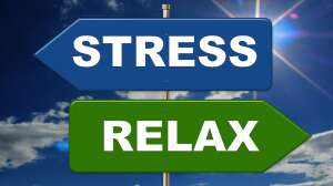 Aquarien als Mittel zum Stressabbau
