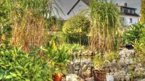 Ist mein Grundstück für einen Gartenteich geeignet?