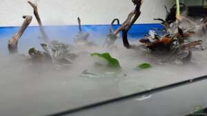 Der Ultimative Leitfaden: Welcher Luftbefeuchter ist der Beste für dein Terrarium?