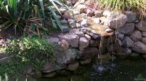 Romantisches Plätschern im eigenen Garten: Wasserfall für den Teich
