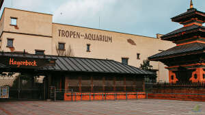 Einen Besuch wert: Das Tropen-Aquarium im Tierpark Hagenbeck