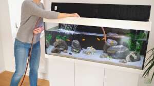 Energieeffiziente Aquarium- und Teichheizung: Unterschiede, Vorteile und Auswahlkriterien