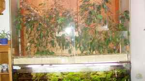 Bild aus dem Beispiel Becken 1006 von Hardy Kullmann